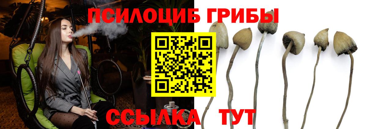 Феодосия  Галлюциногенные грибы GOLDEN TEACHER  Вход с VPN 
